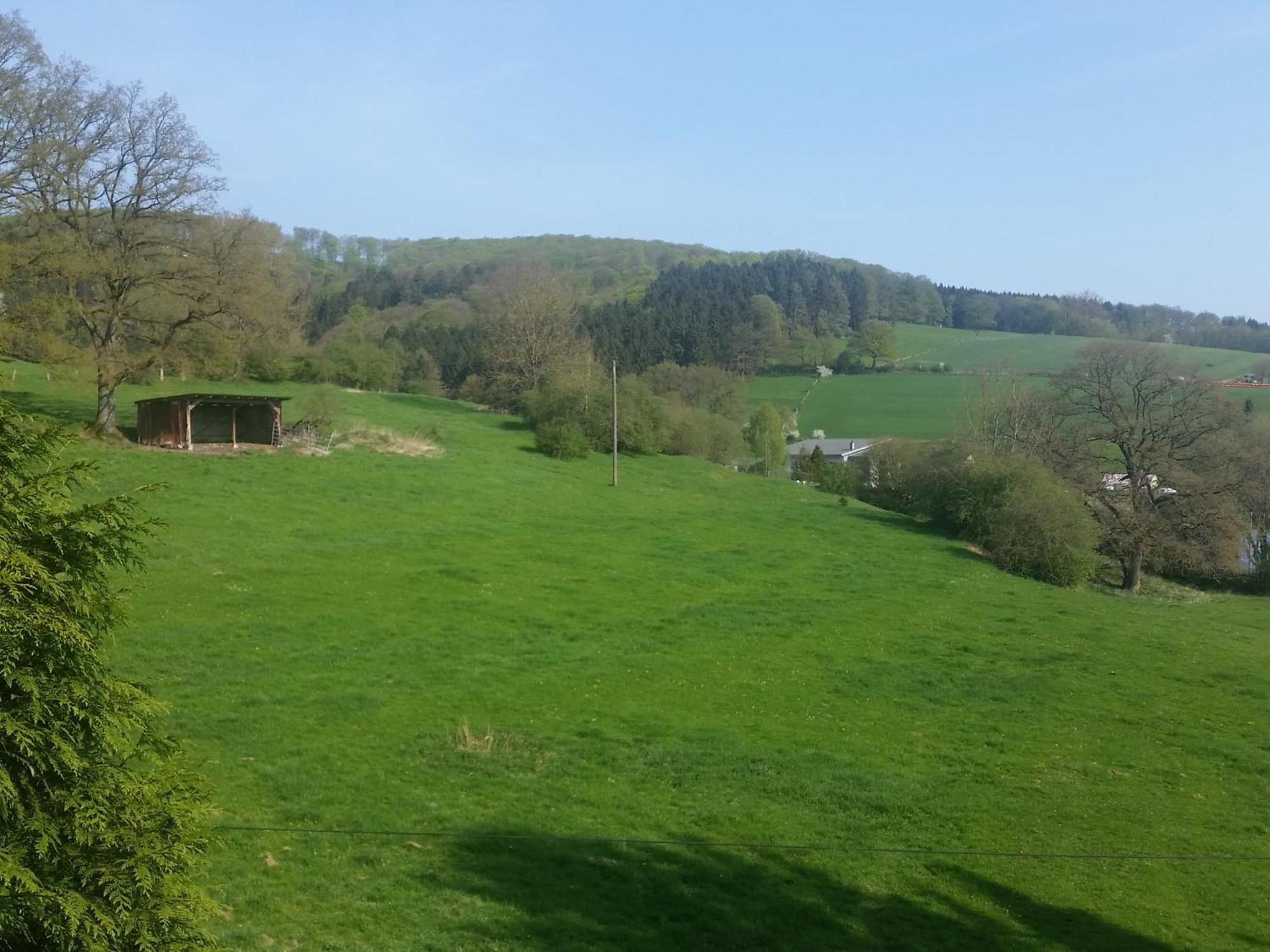 Fewo Am Wald Balve Rum bild