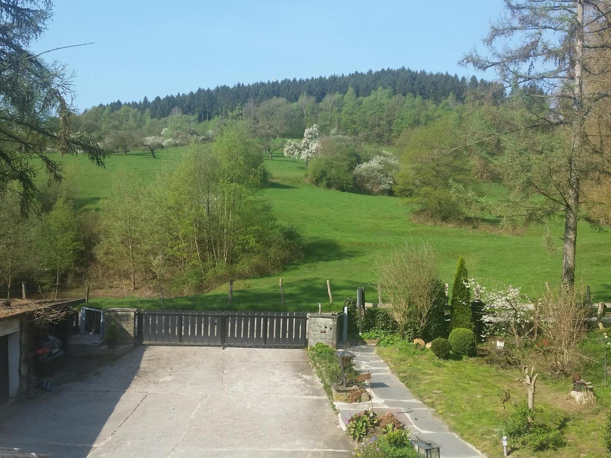 Fewo Am Wald Balve Rum bild