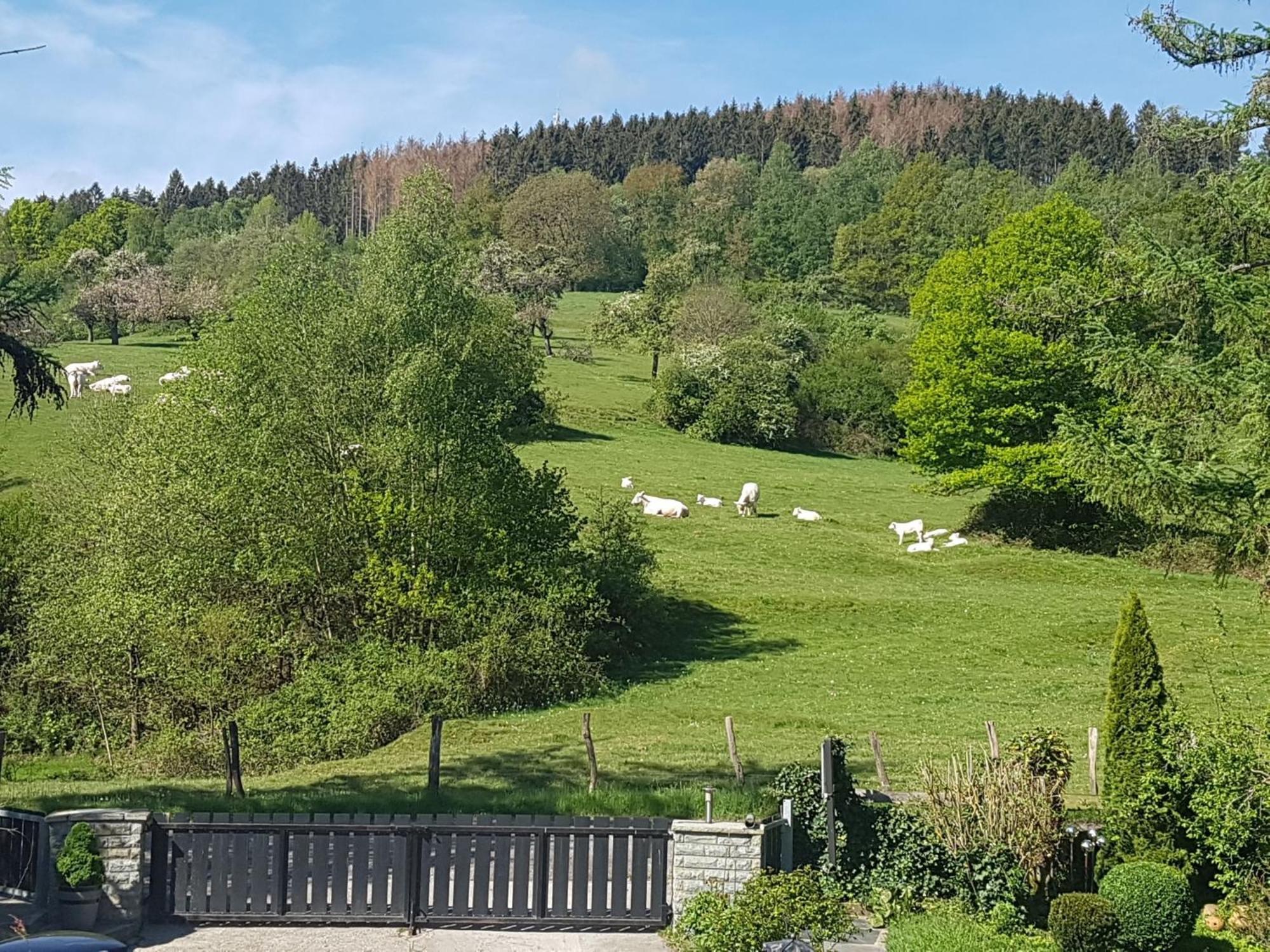 Fewo Am Wald Balve Rum bild